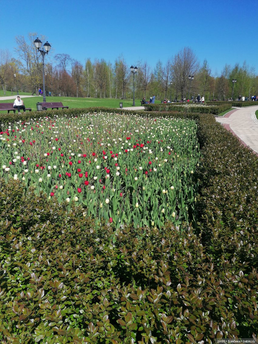 Царицыно, музей заповедник Царицыно с куклой Черепашкой