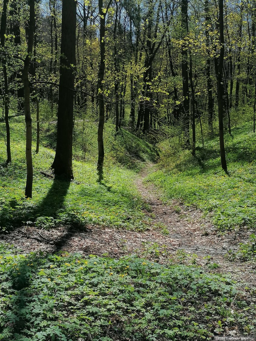 Царицыно, музей заповедник Царицыно с куклой Черепашкой (фото 2)