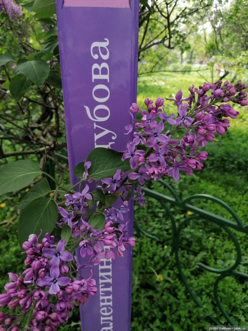 Все в Сад-Сиреневый сад — Куклы Kidz'n'Cats (Соня Хартман): шарнирные 46 см