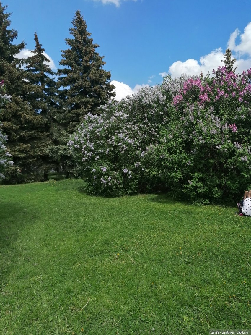 Все в Сад-Сиреневый сад — Куклы Kidz'n'Cats (Соня Хартман): шарнирные 46 см