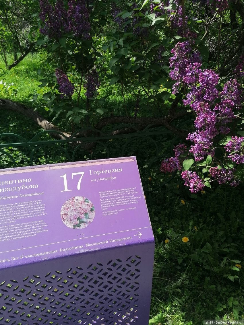 Все в Сад-Сиреневый сад — Куклы Kidz'n'Cats (Соня Хартман): шарнирные 46 см