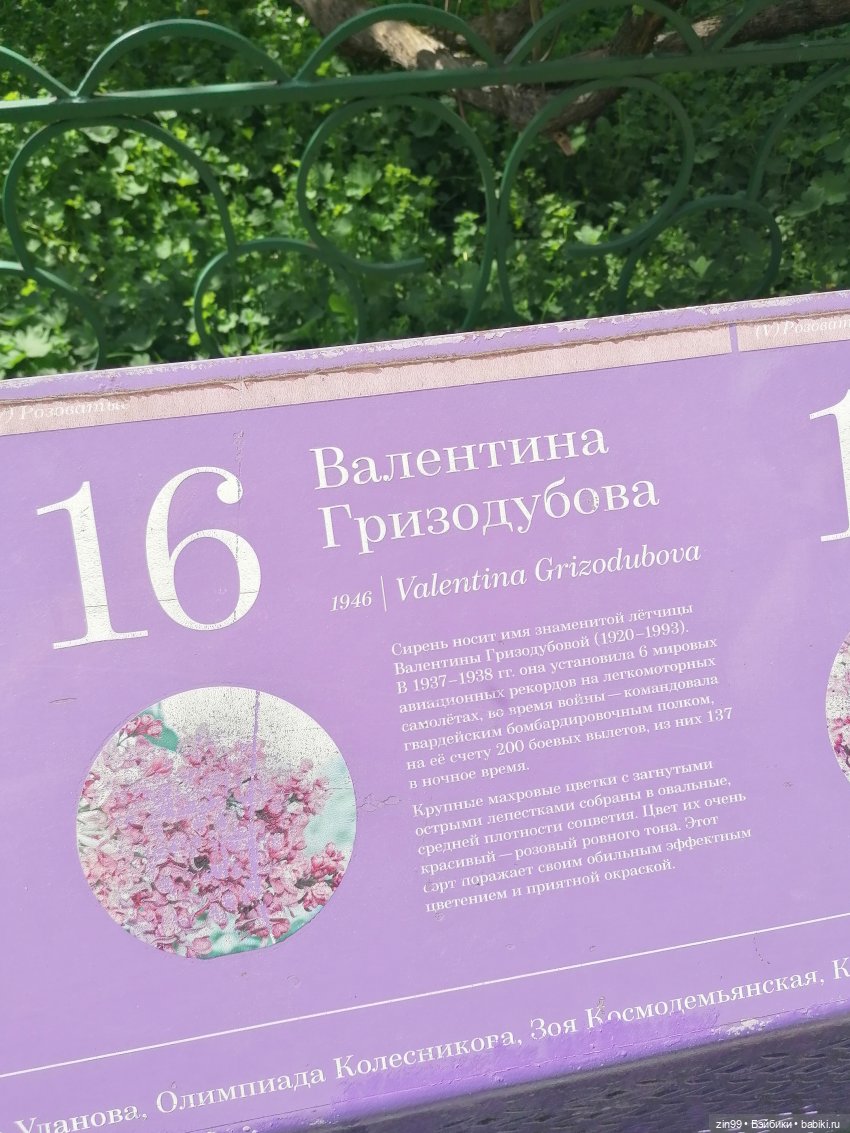 Все в Сад-Сиреневый сад — Куклы Kidz'n'Cats (Соня Хартман): шарнирные 46 см