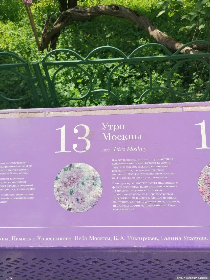 Все в Сад-Сиреневый сад — Куклы Kidz'n'Cats (Соня Хартман): шарнирные 46 см