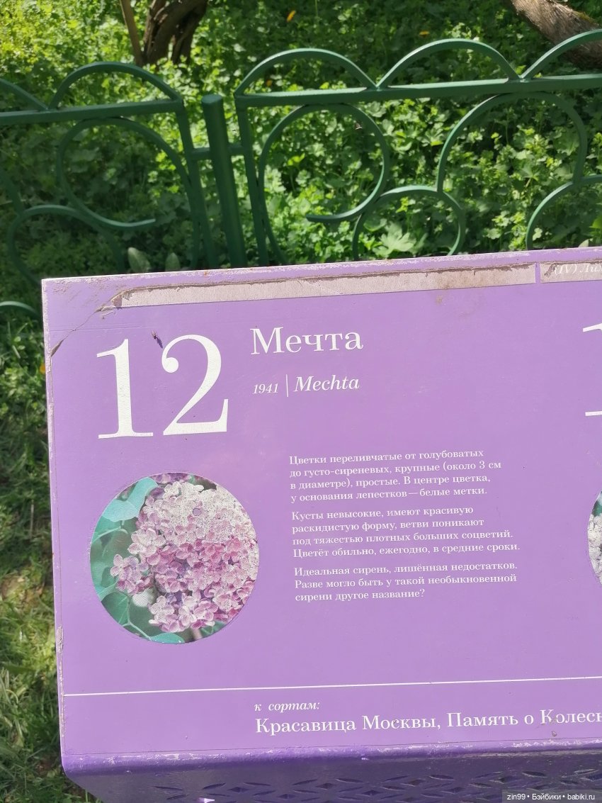 Все в Сад-Сиреневый сад — Куклы Kidz'n'Cats (Соня Хартман): шарнирные 46 см