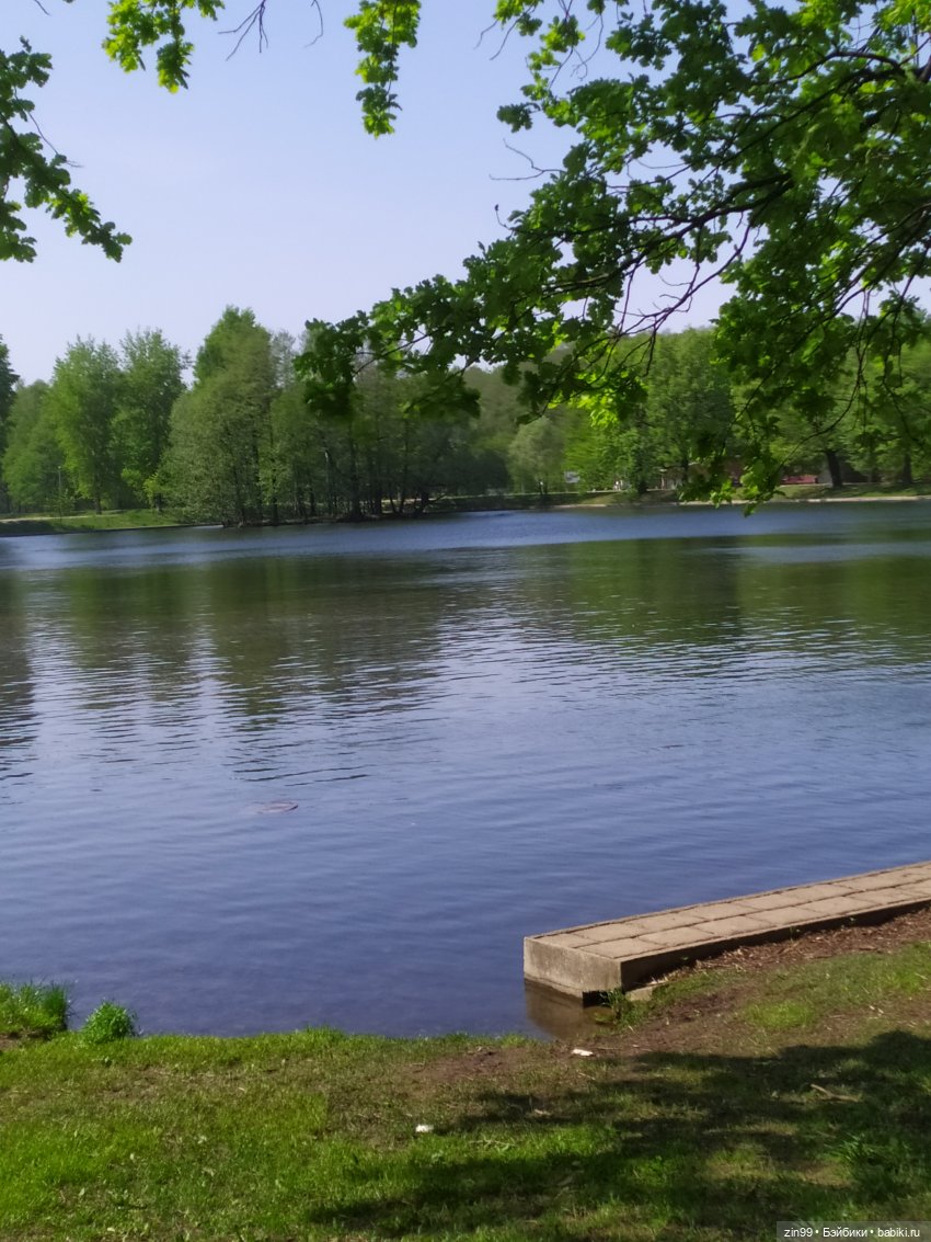 капусточки