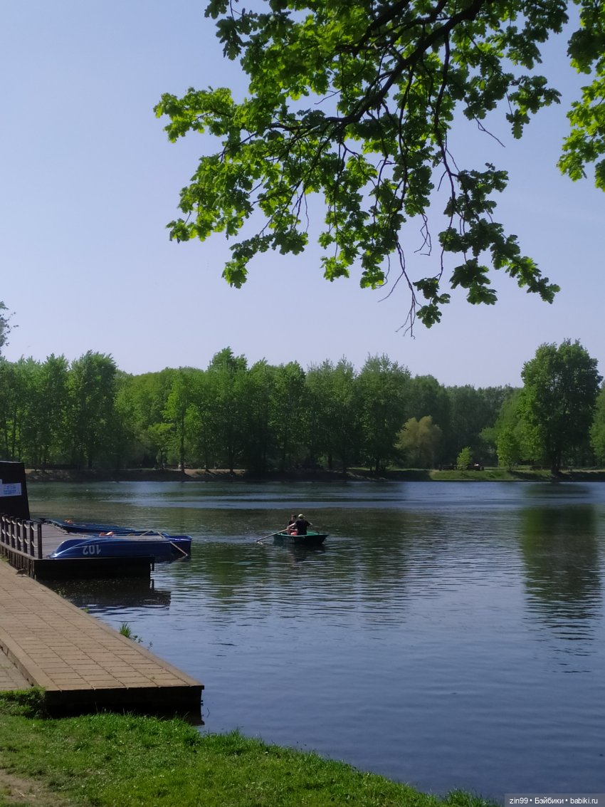 капусточки