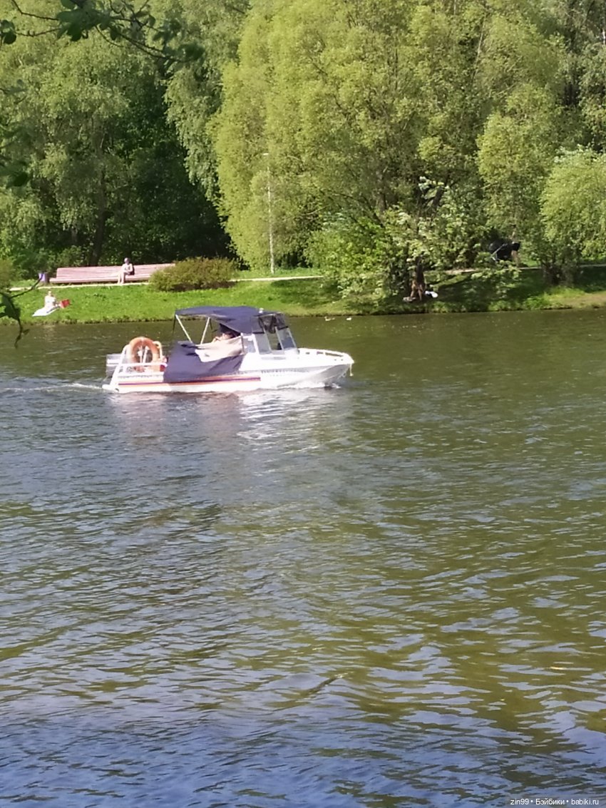 капусточки