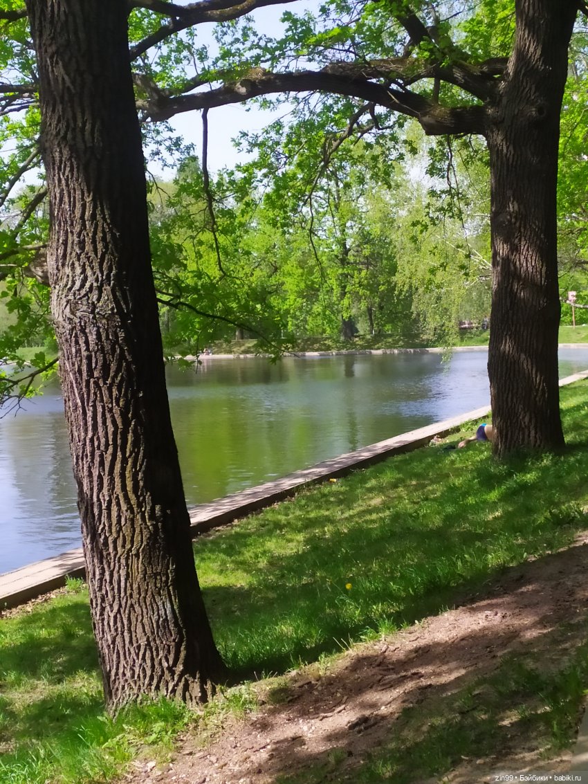 капусточки