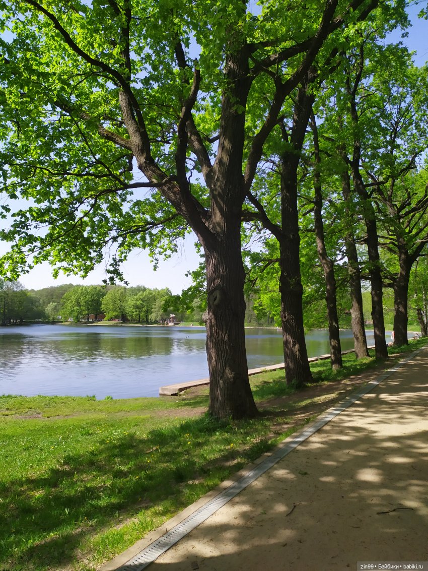 капусточки