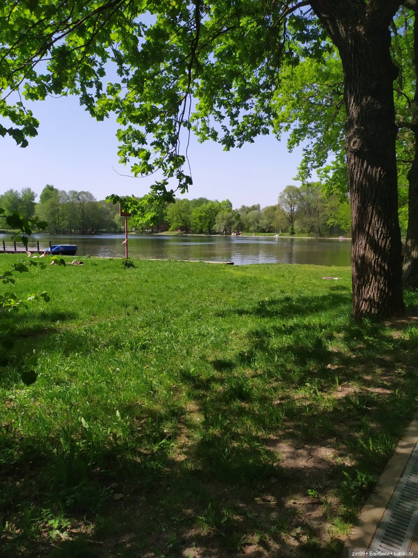 капусточки