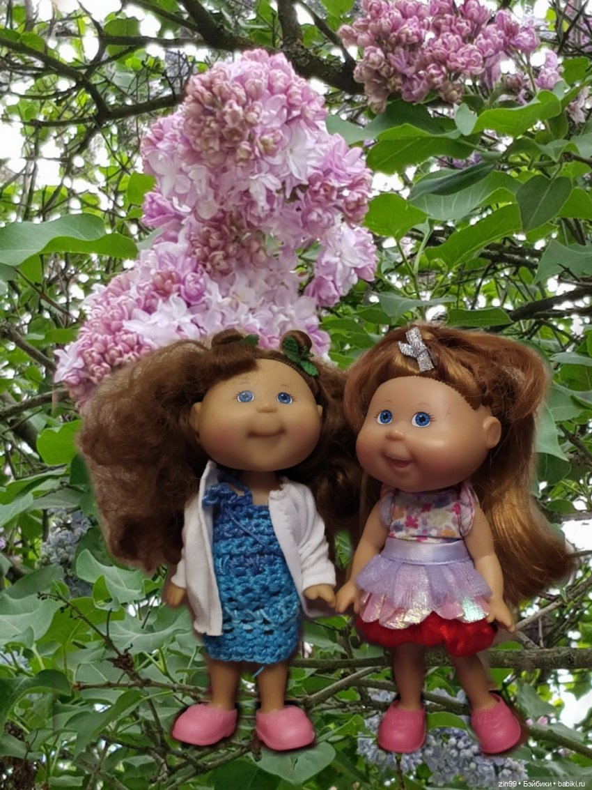 капусточки