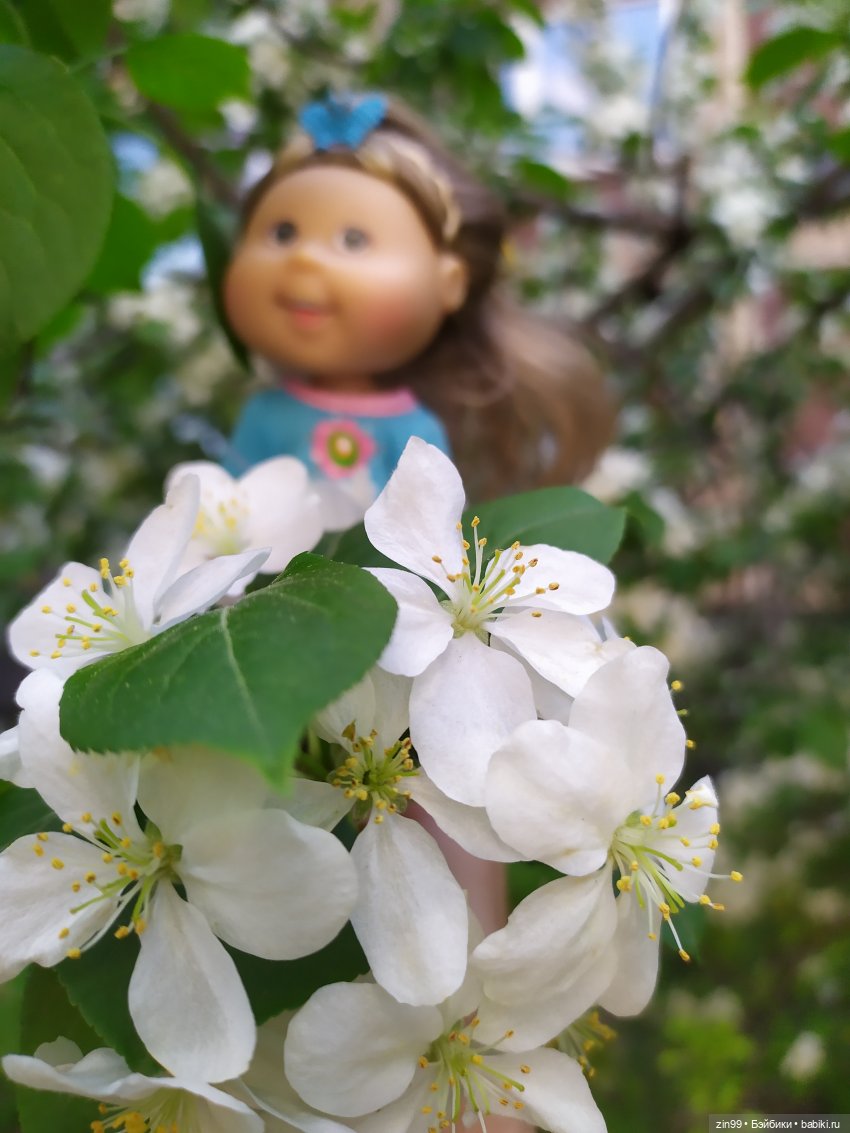 капусточки