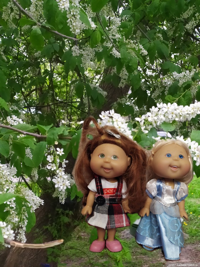 капусточки