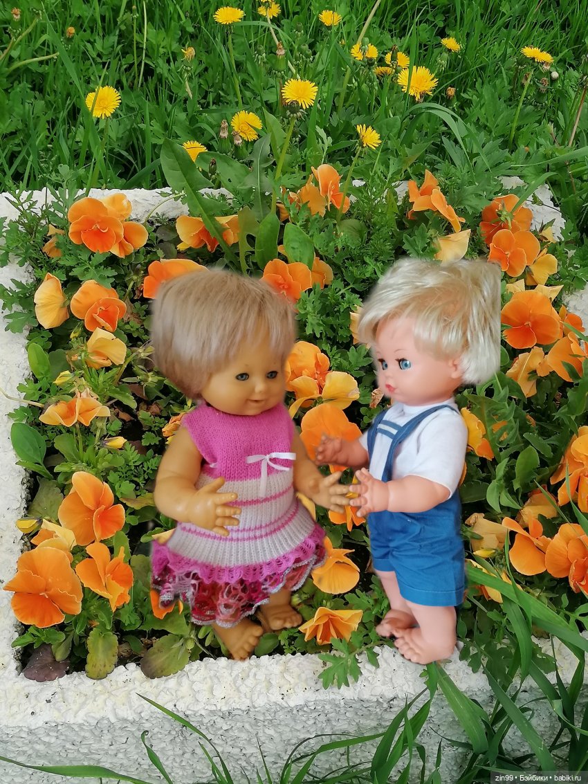 Schildkröt, приехал мальчик, очень красивый