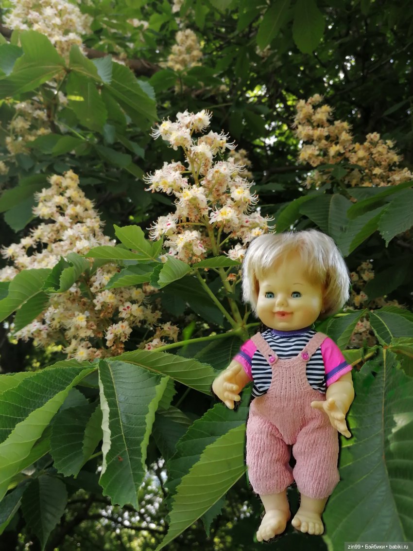 Schildkröt, приехал мальчик, очень красивый