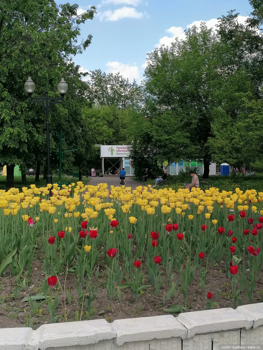 Schildkröt, приехал мальчик, очень красивый