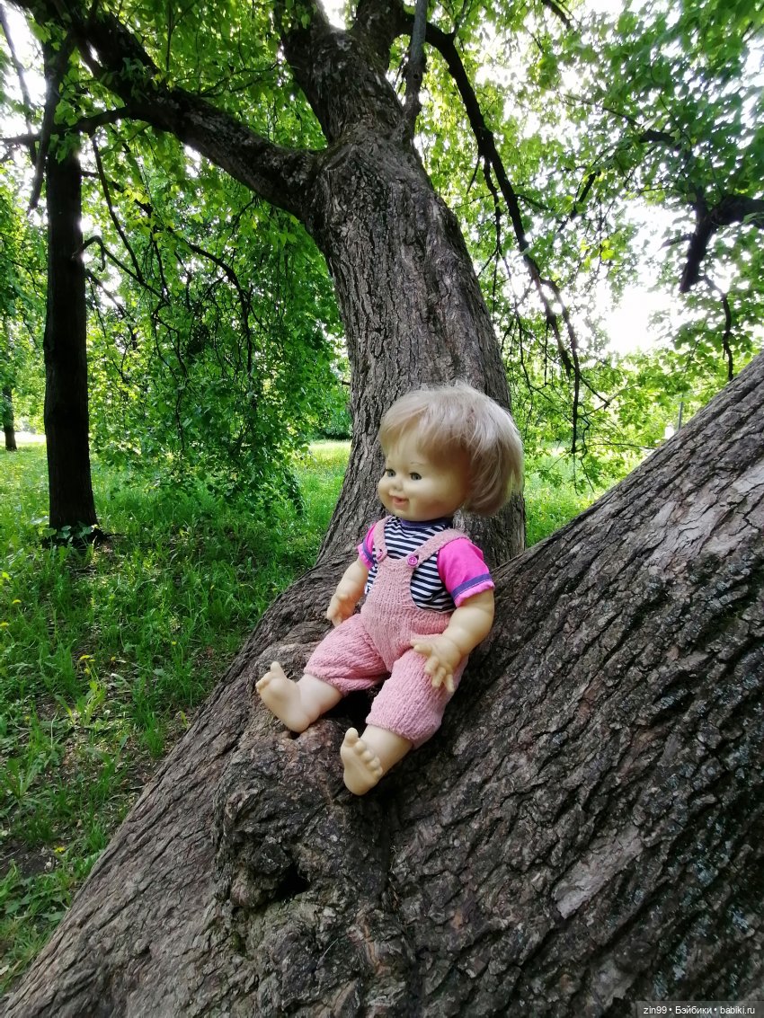 Schildkröt, приехал мальчик, очень красивый (фото 6)