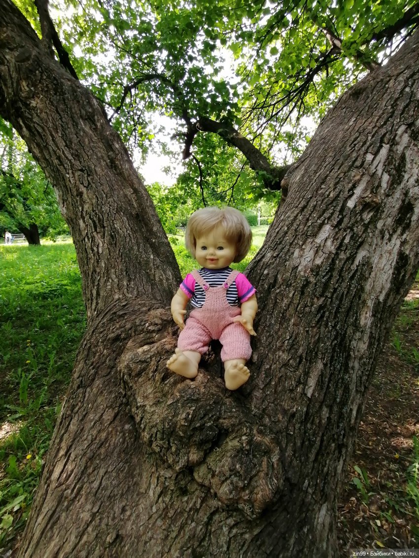 Schildkröt, приехал мальчик, очень красивый (фото 4)