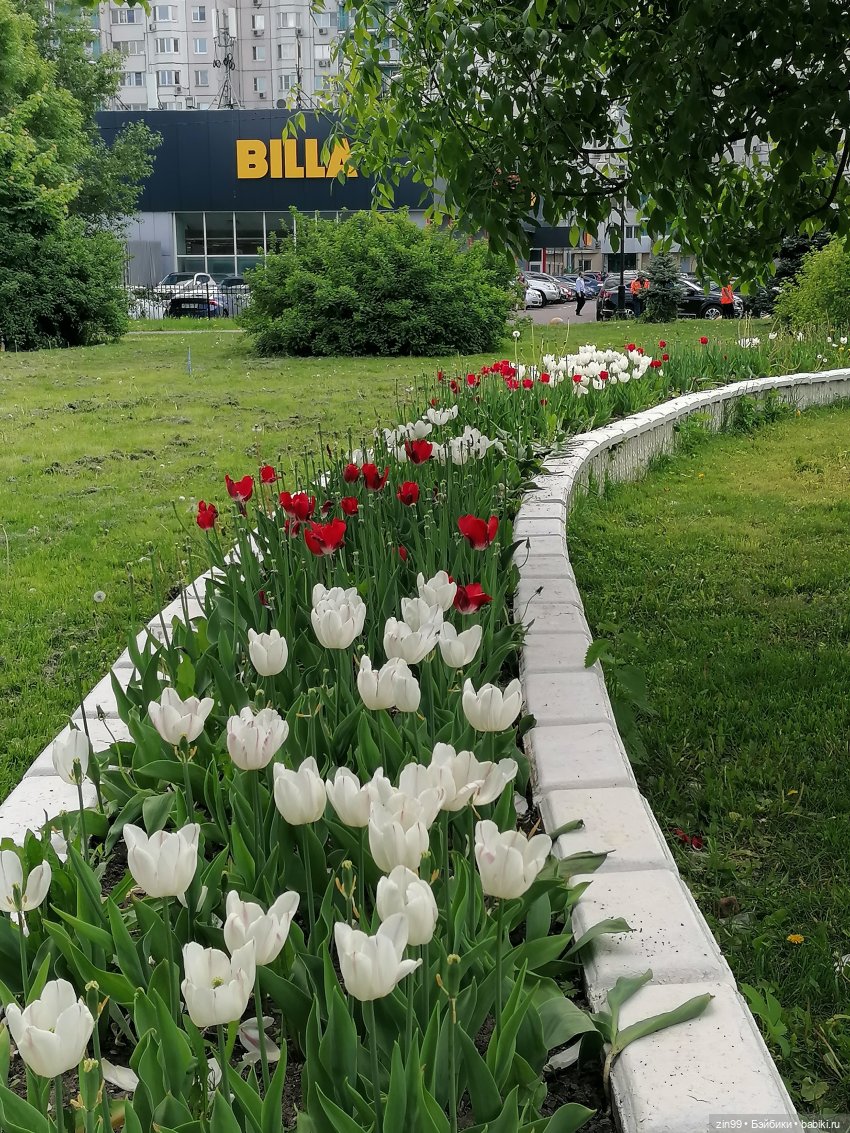 Schildkröt, приехал мальчик, очень красивый