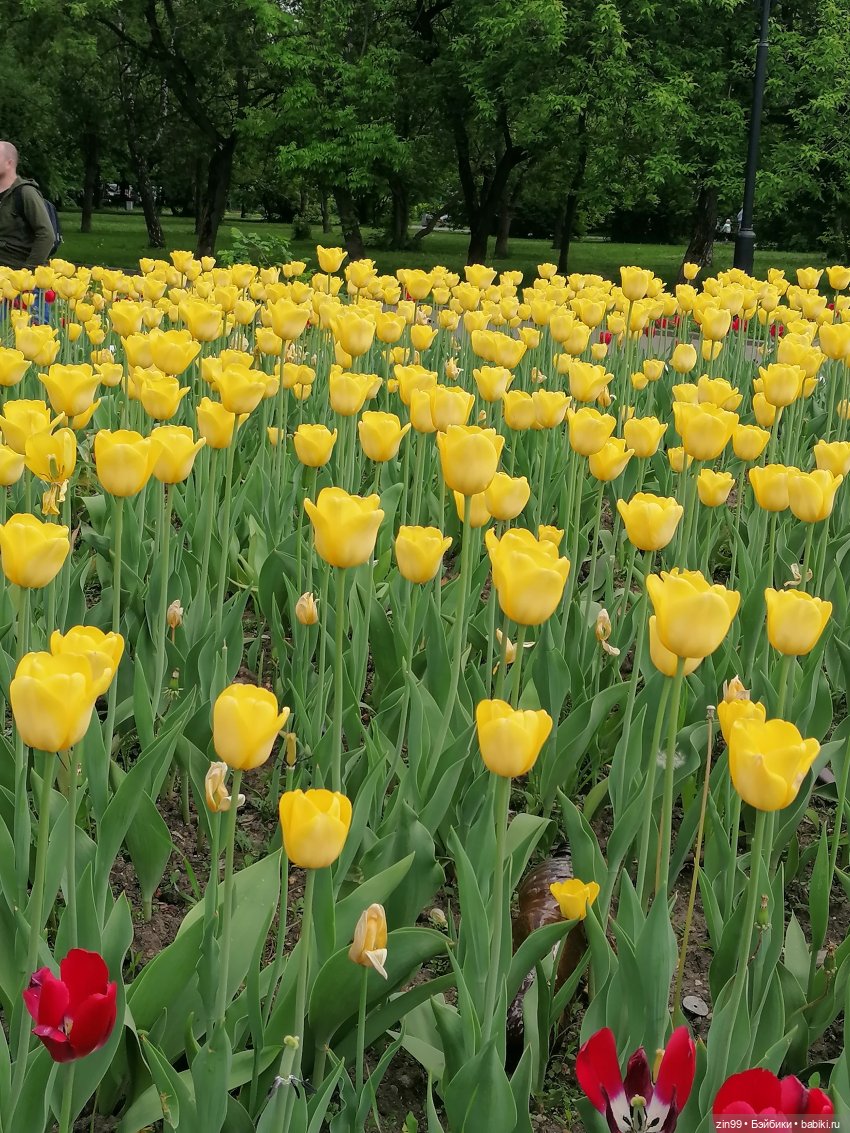 Schildkröt, приехал мальчик, очень красивый
