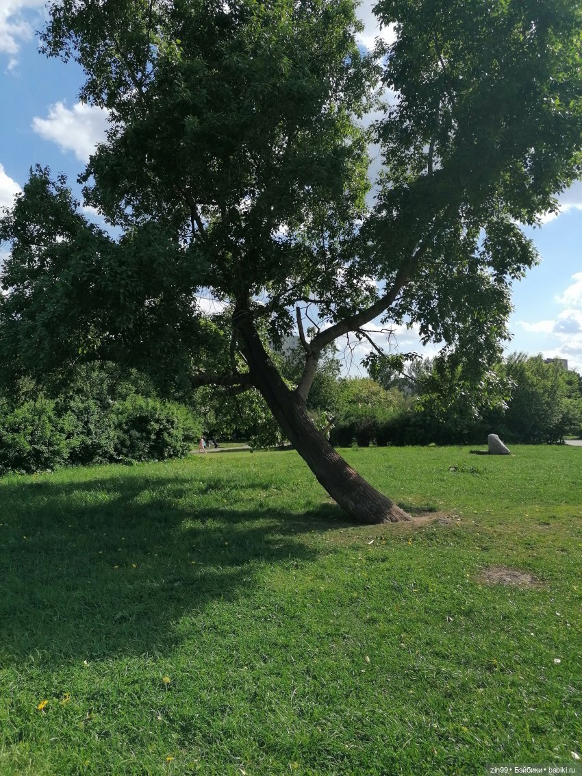 Schildkröt, приехал мальчик, очень красивый