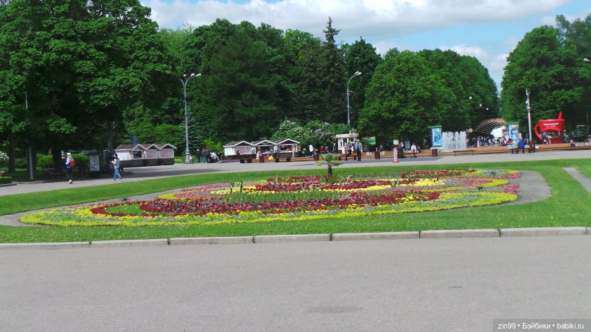 Прогулка в парк Сокольники (фото 3)