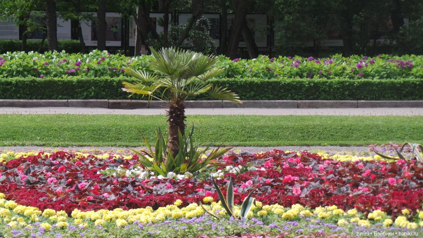 Прогулка в парк Сокольники (фото 7)