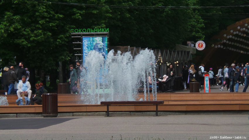 Прогулка в парк Сокольники (фото 6)