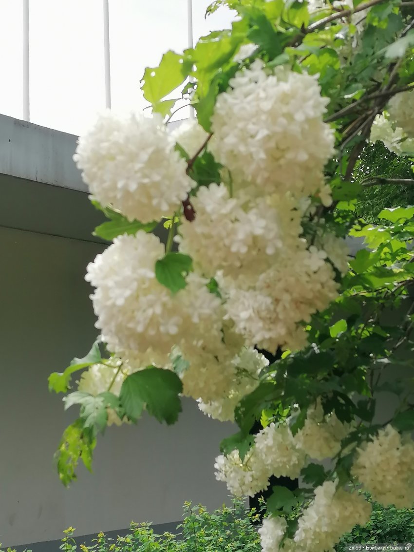 Прогулка в парк Сокольники