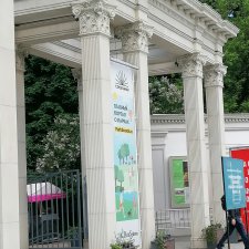 Прогулка в парк Сокольники