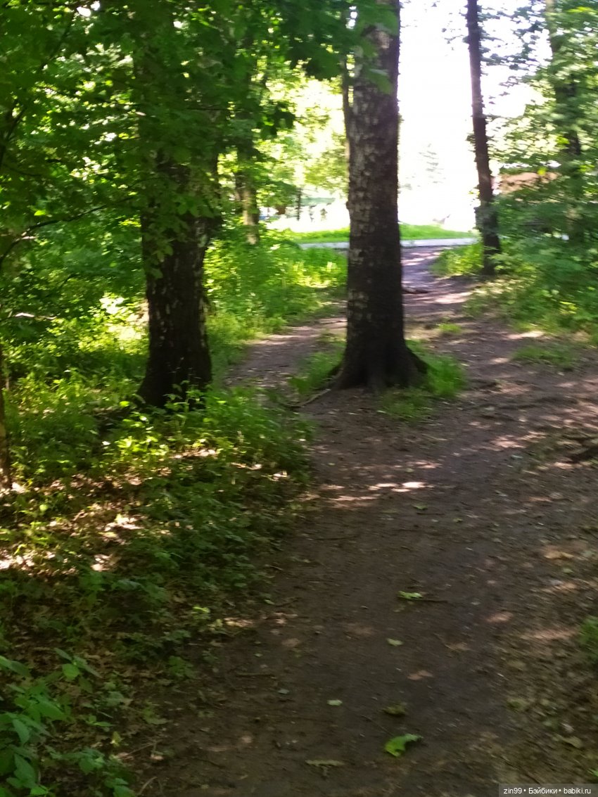 Июньская прогулка с мальчиком в парке (фото 8)