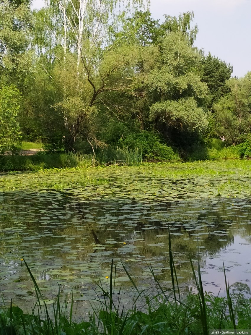 В Серебряный Бор с капустками