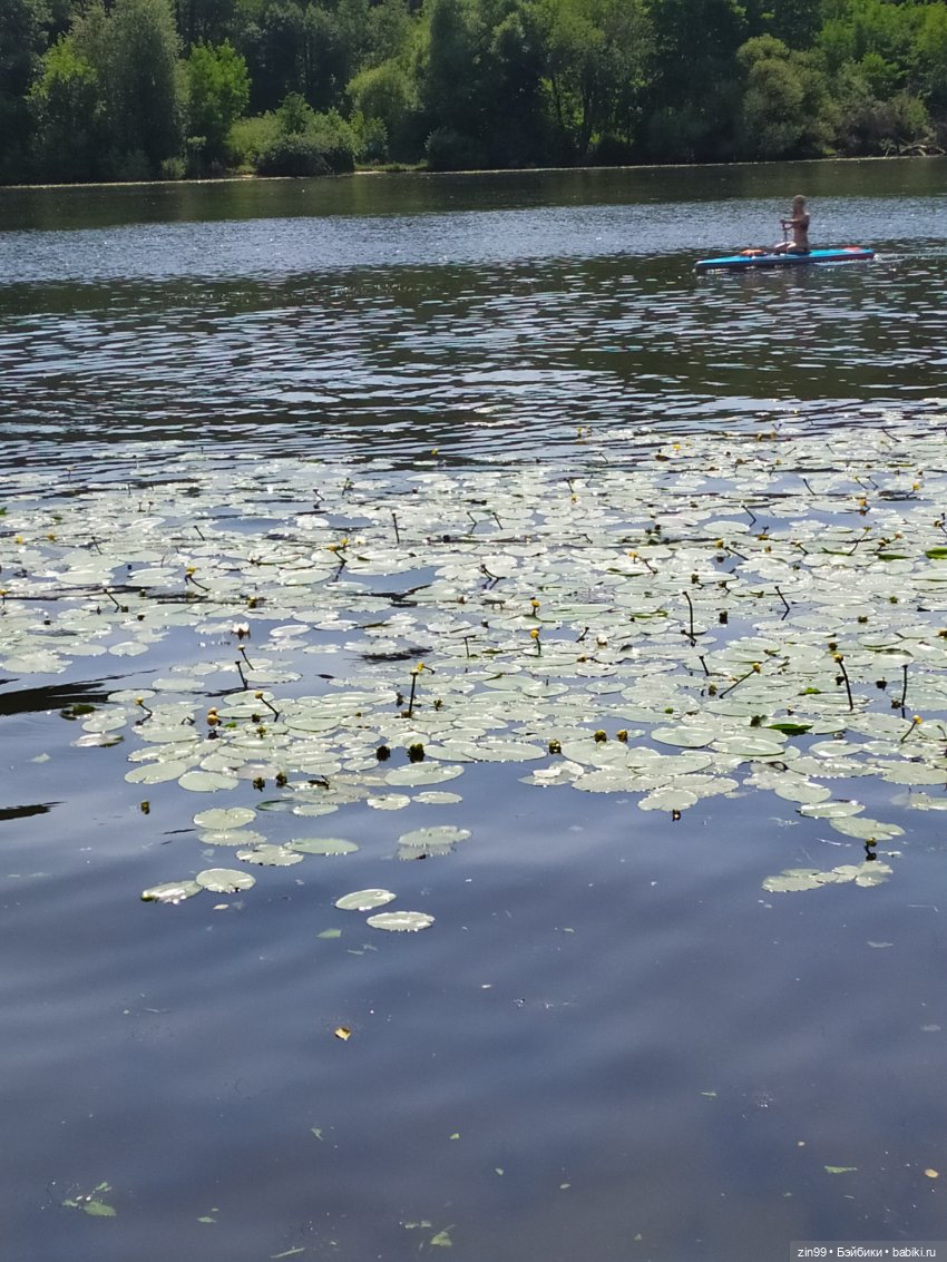 В Серебряный Бор с капустками (фото 10)