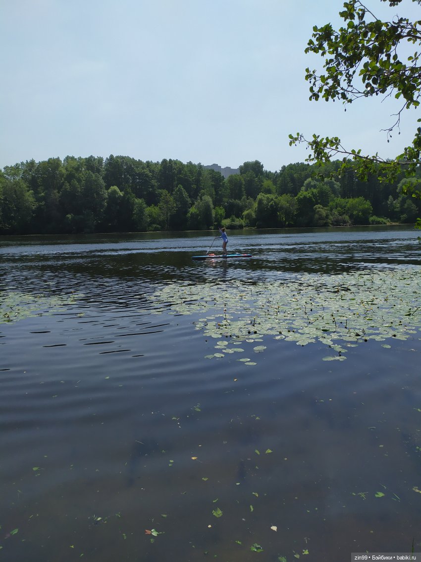 В Серебряный Бор с капустками (фото 8)
