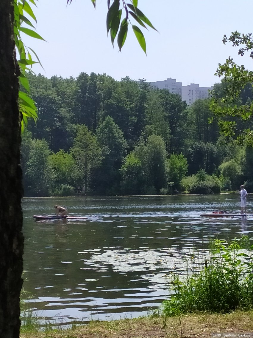 В Серебряный Бор с капустками