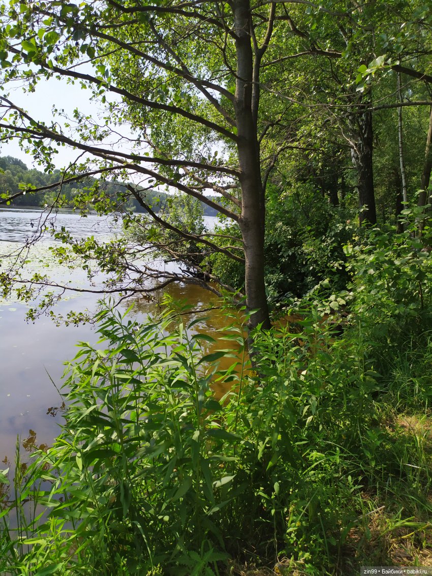 В Серебряный Бор с капустками