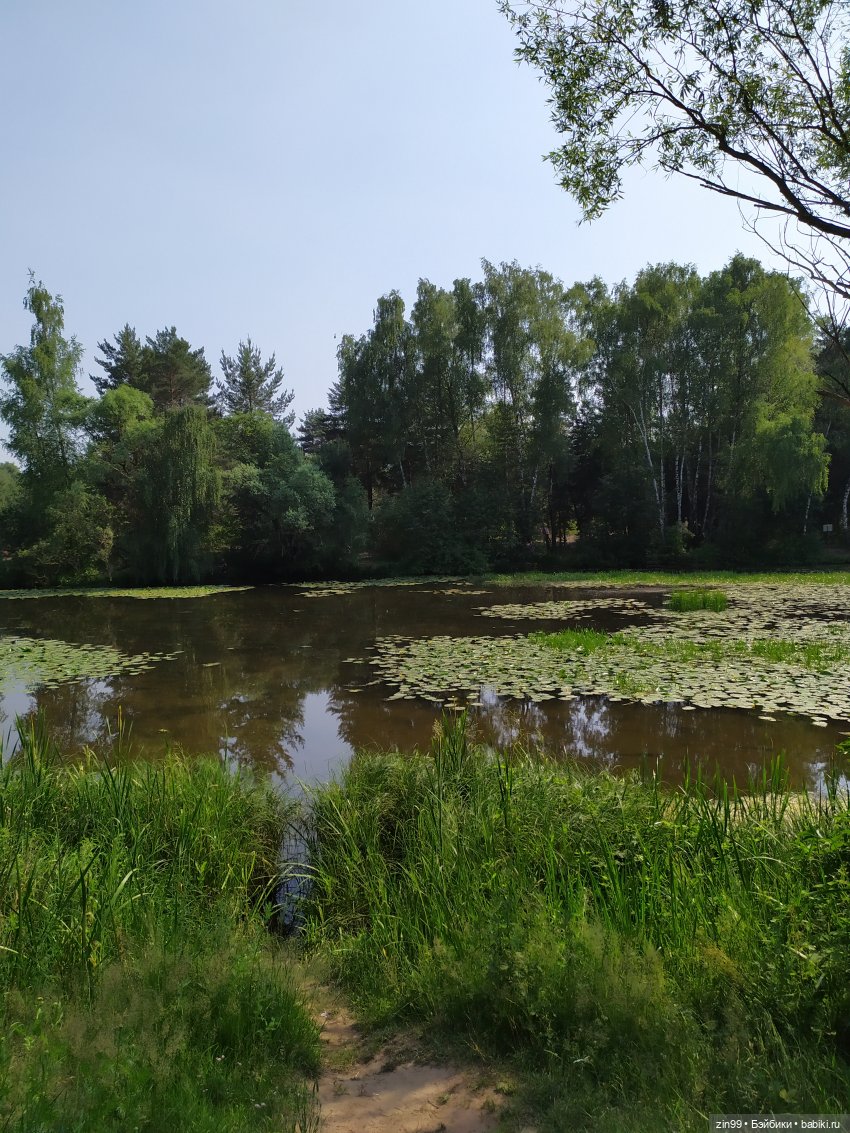 В Серебряный Бор с капустками