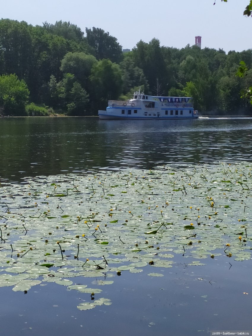В Серебряный Бор с капустками