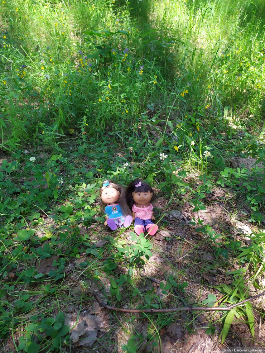 В Серебряный Бор с капустками (фото 6)