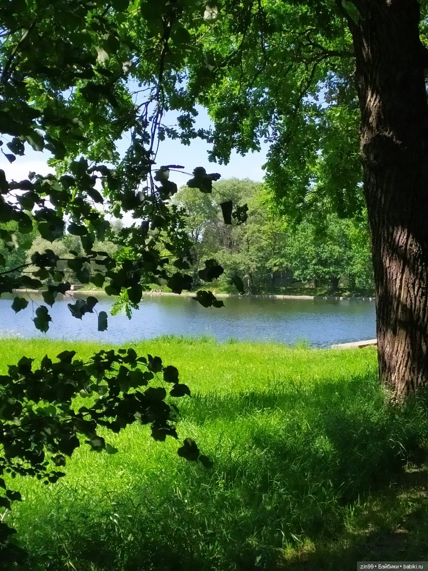 Жара. Терлецкая Дубрава — Туризм и путешествия: фотоотчеты из поездок (фото 8)