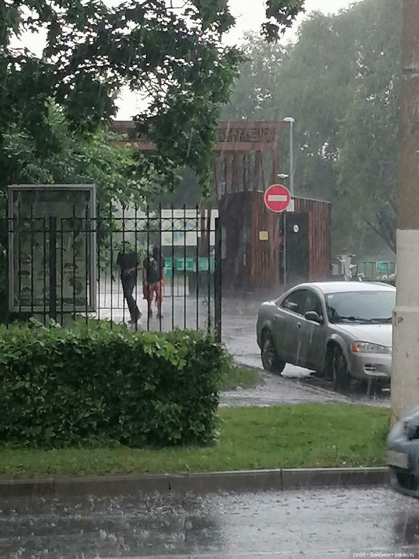 Жара. Терлецкая Дубрава — Туризм и путешествия: фотоотчеты из поездок