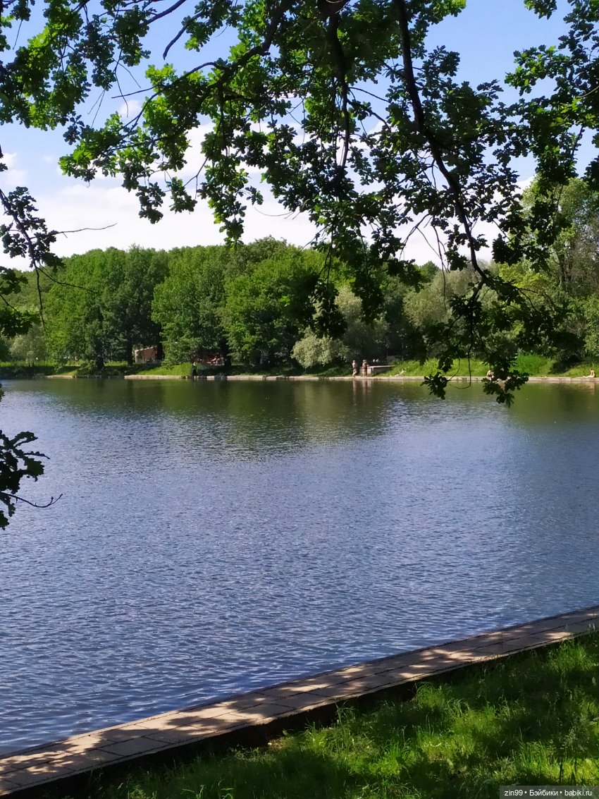Жара. Терлецкая Дубрава — Туризм и путешествия: фотоотчеты из поездок (фото 9)