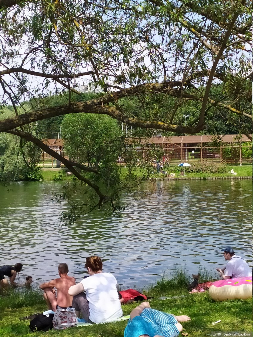 Жара. Терлецкая Дубрава — Туризм и путешествия: фотоотчеты из поездок