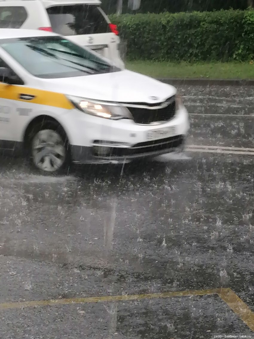 Жара. Терлецкая Дубрава — Туризм и путешествия: фотоотчеты из поездок (фото 4)