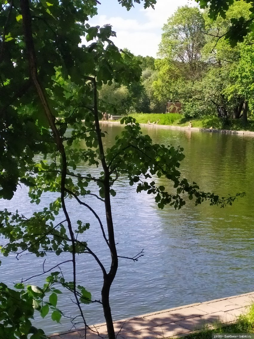 Жара. Терлецкая Дубрава — Туризм и путешествия: фотоотчеты из поездок (фото 6)