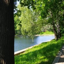 Жара. Терлецкая Дубрава