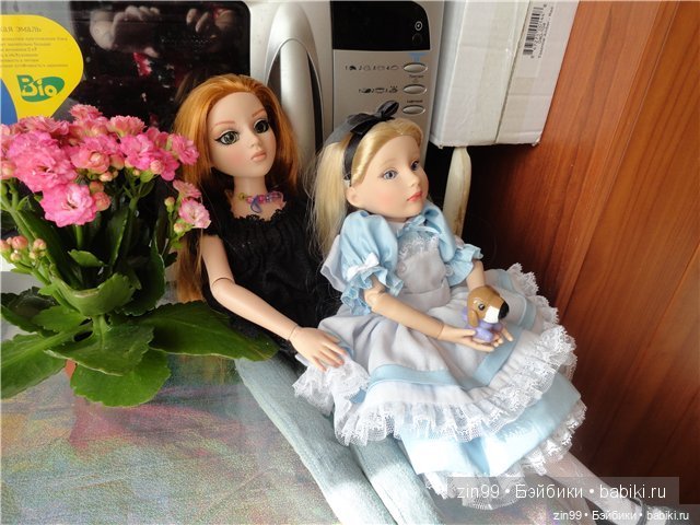 Кролик был бы рад, и Алиса тоже (фото 7)