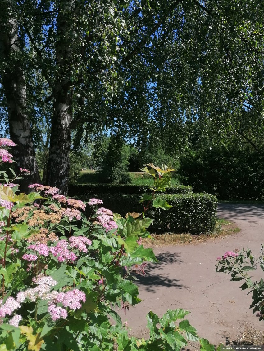 Куклы Rainbow high, Амайя