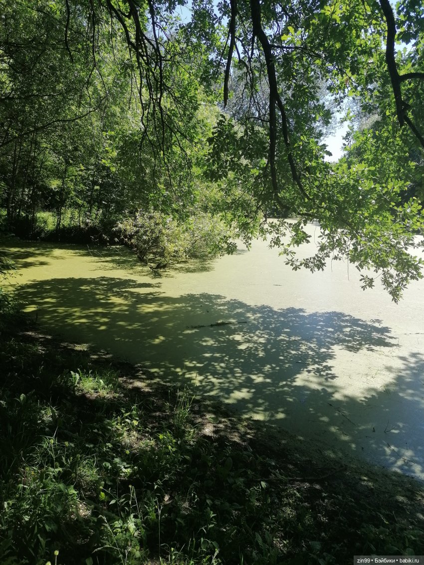 Куклы Rainbow high, Амайя