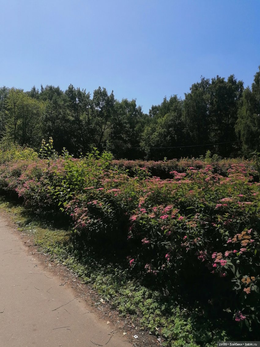 Куклы Rainbow high, Амайя